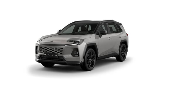 rav4_grismicametalico2SQ_00