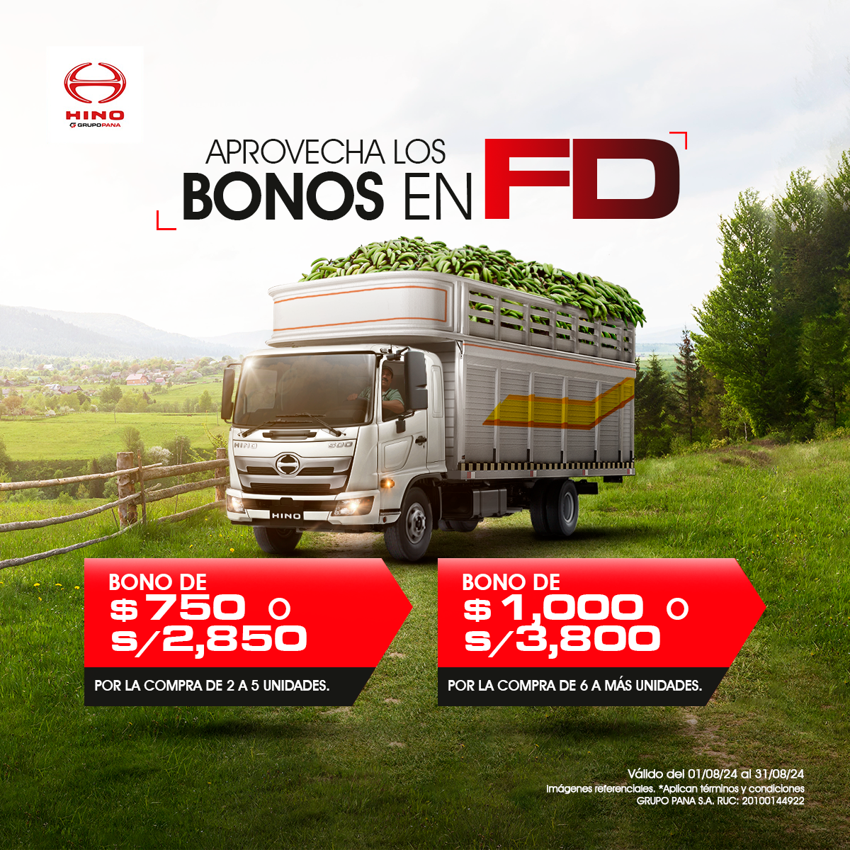 fd-2024-agosto-0